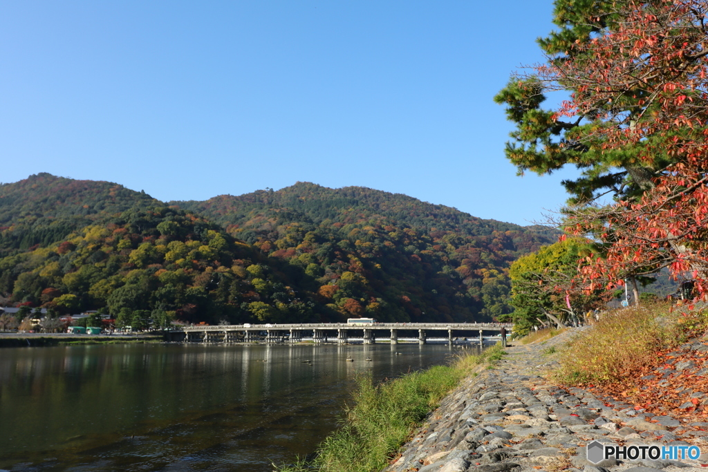 今朝の嵐山・渡月橋