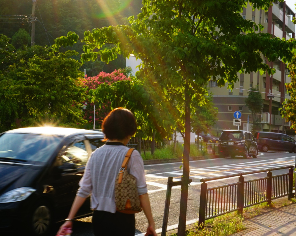 残暑の帰路