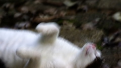 フフフ、自由はいいな～