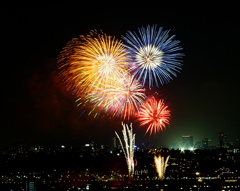 夏の終わりを告げる「多摩川花火大会」