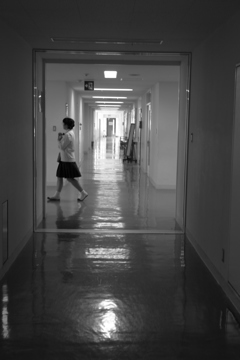 _MG_0905