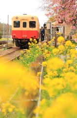 春の小湊鉄道