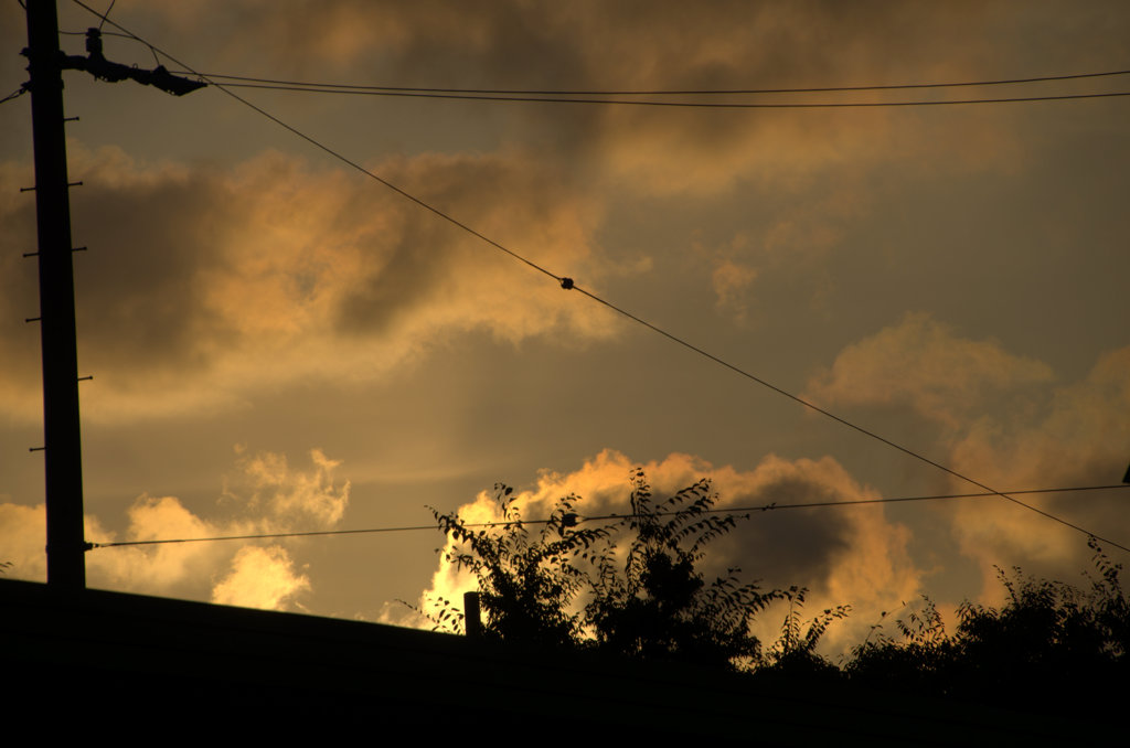Twilight