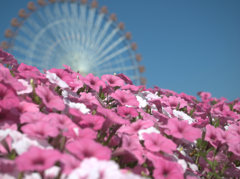 夏空に