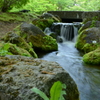 CSC_0240