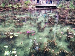 モネの池1