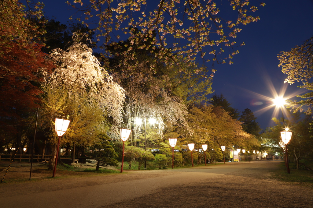 夜の公園1