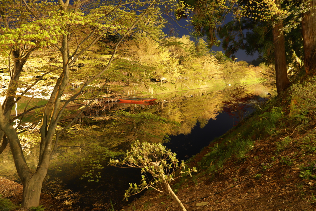 夜の公園2