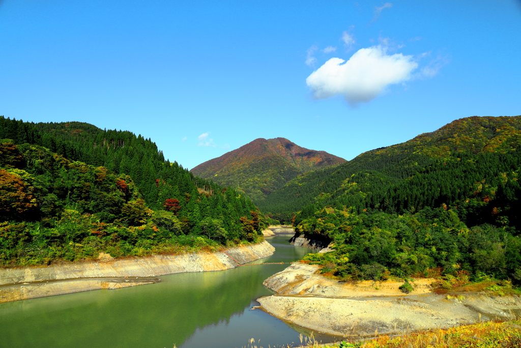 まだまだ緑