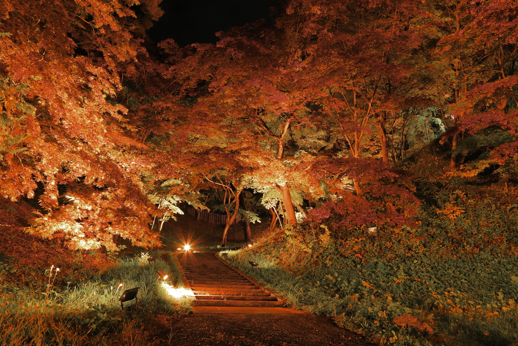夜の公園