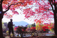 紅景色