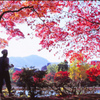紅景色