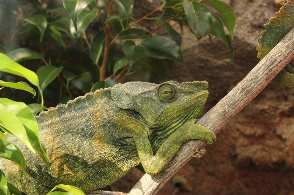 なんやねん、われ