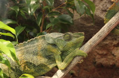 なんやねん、われ