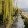 清楚なる亰