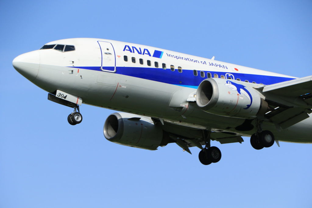 飛行機撮影ほんまに楽しいです(^-^)
