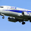 飛行機撮影ほんまに楽しいです(^-^)