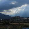 雲光