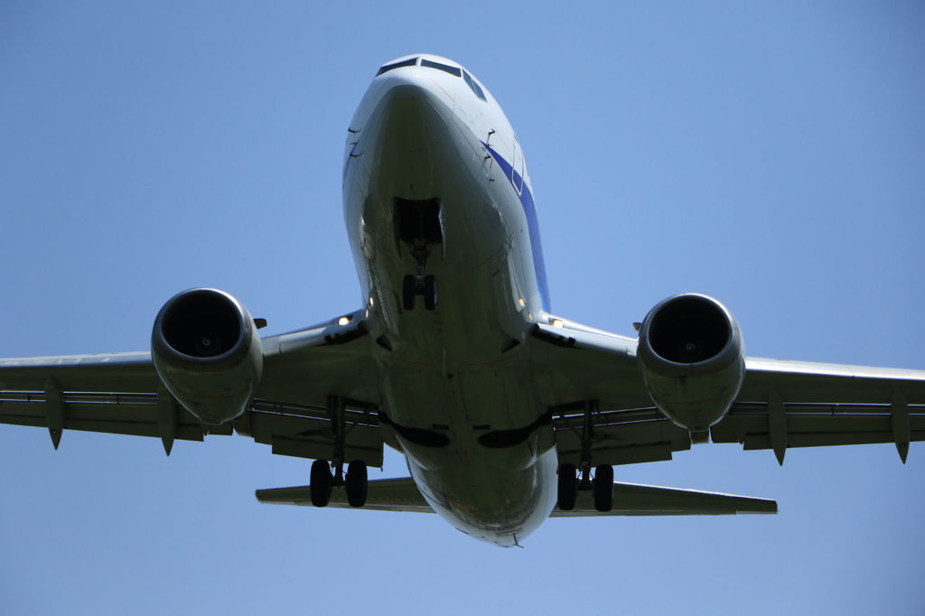 初めての飛行機撮影　by伊丹千里川