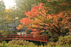 高野山の紅葉