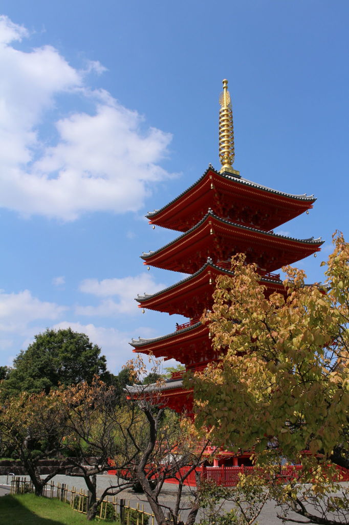 快晴の下の紅(あか)