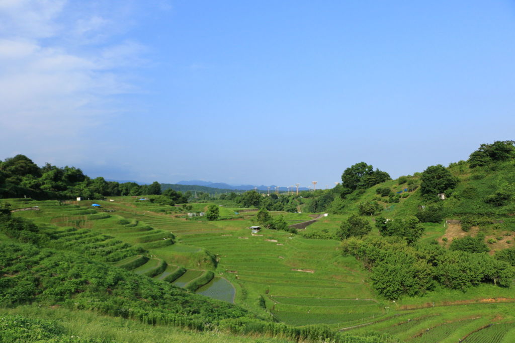 千早赤阪の棚田　その1