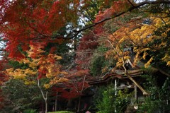 楠木正成公の菩提寺観心寺ににて