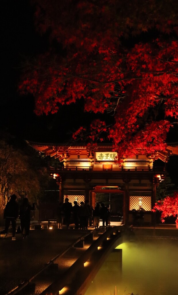 応頂山　勝尾寺紅葉ライトアップ