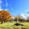 大台ヶ原〜秋晴れ！