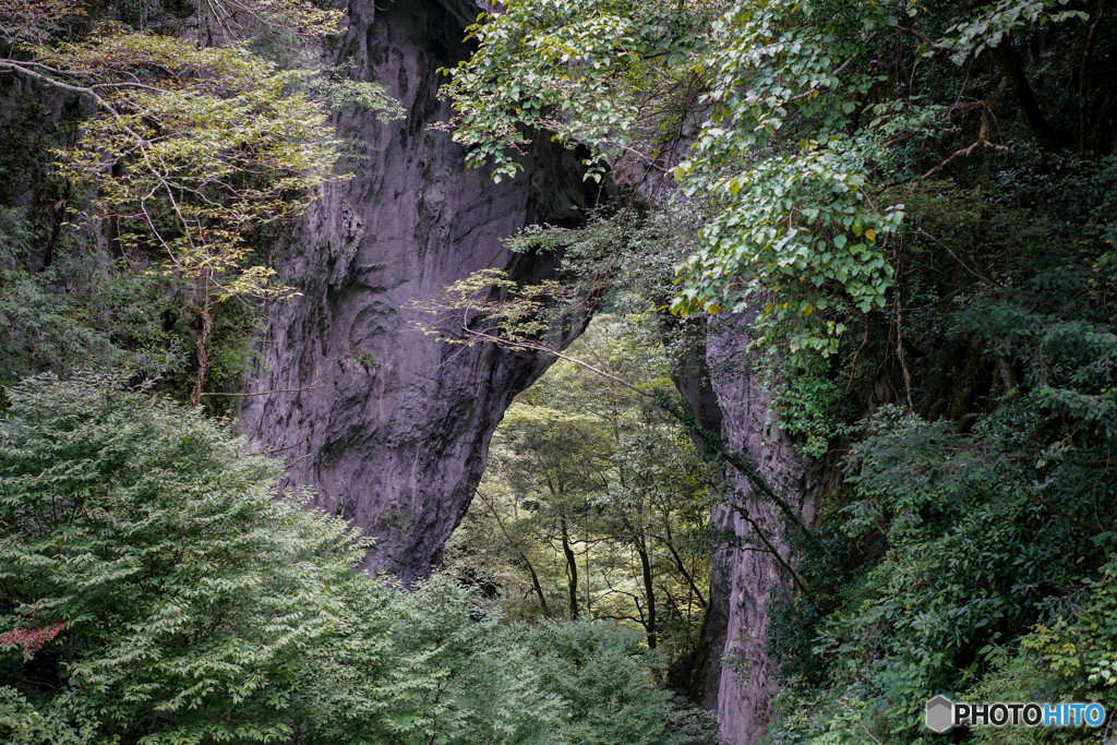 羅生門