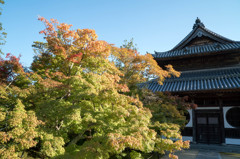 宝福寺（仏殿）