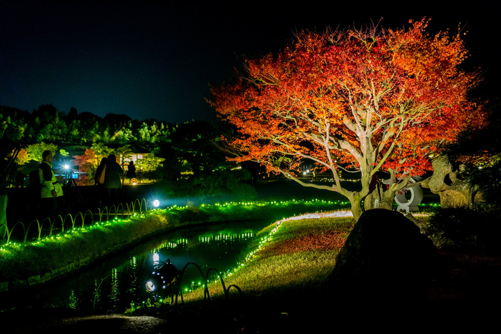 幻想庭園8