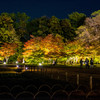 幻想庭園（紅葉）