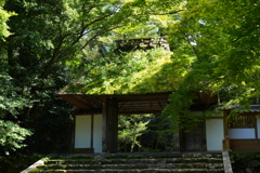 涼を求めて