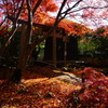 京都 蓮華寺