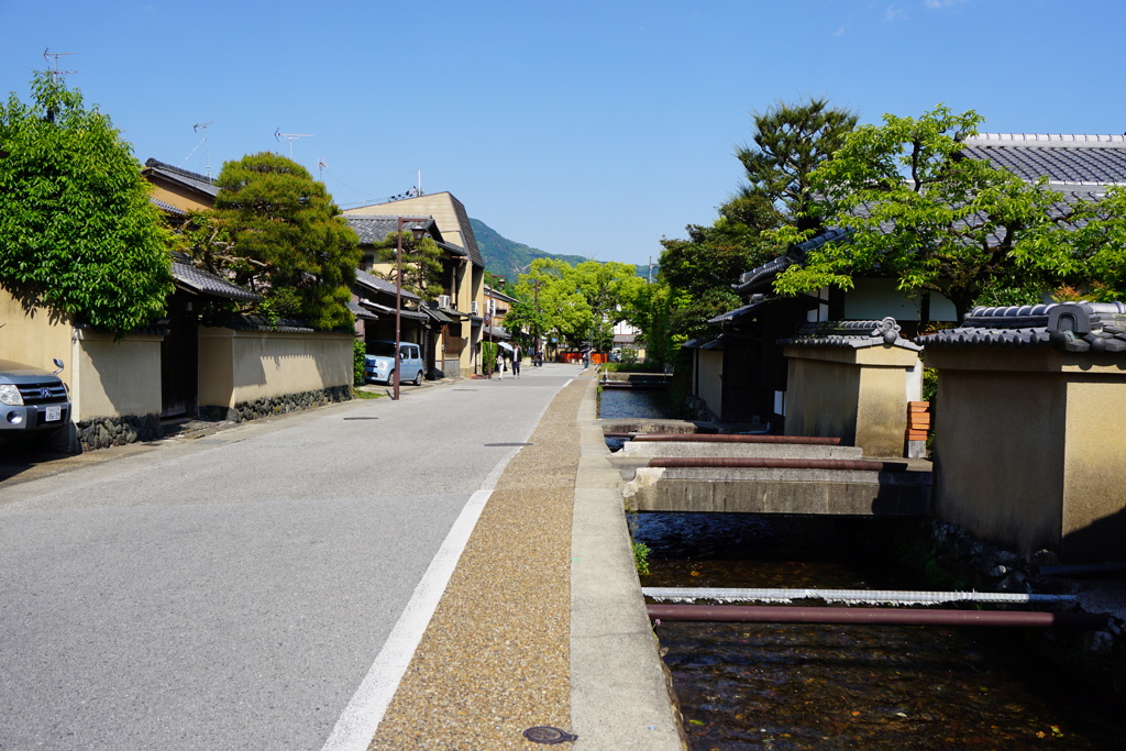 上賀茂本通り