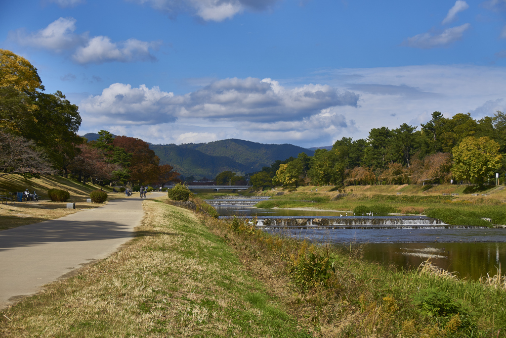 紅葉まであともう少し