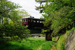 新緑の夙川鉄橋