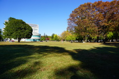 小春日和の各務原市民公園