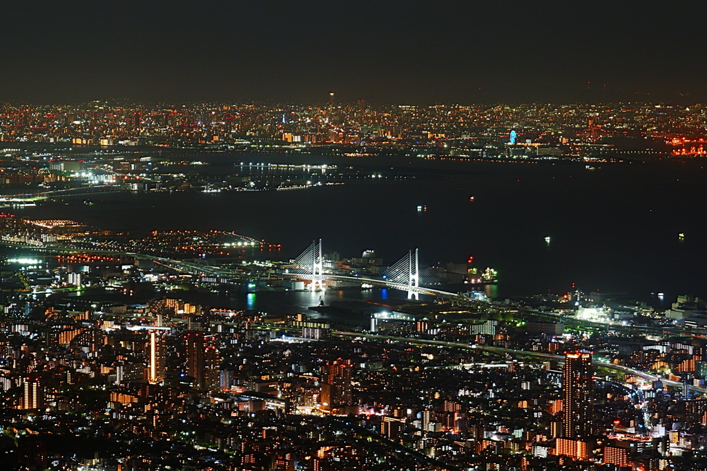 1000万＄の夜景