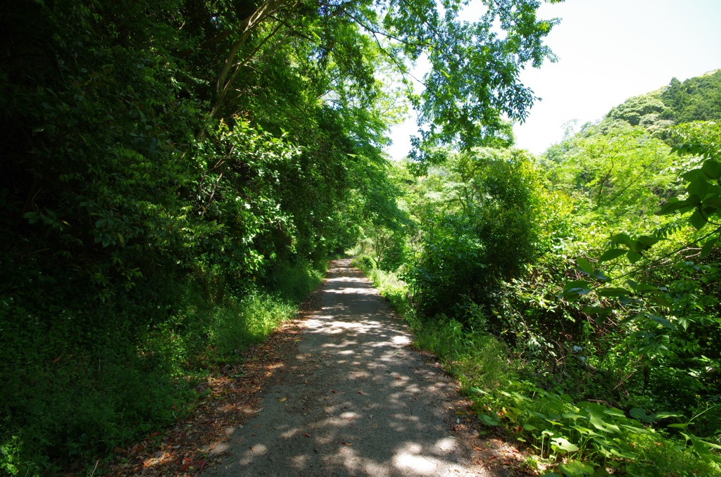 道