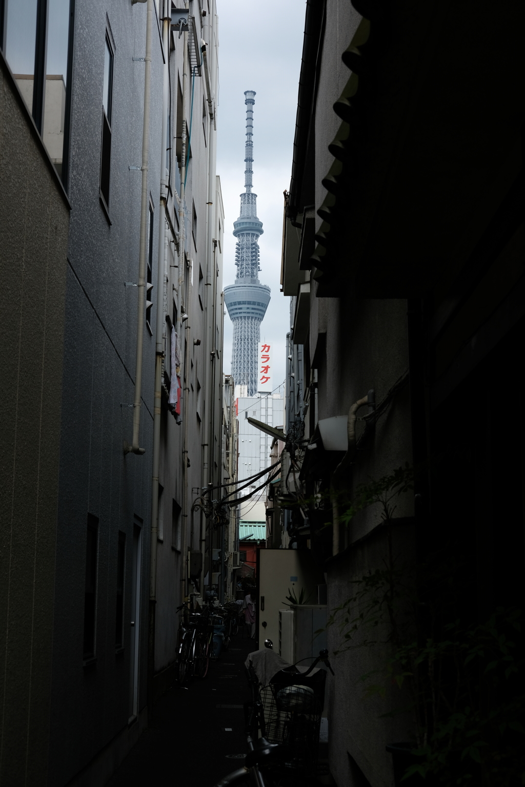 裏路地からのスカイツリー