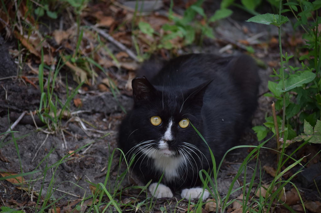 そーっと・・・