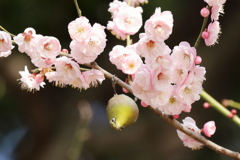 同じく竹漢の森にて