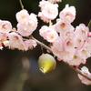 同じく竹漢の森にて
