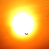 築城基地ナイト