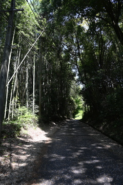 中山道（落合宿ー馬籠宿）