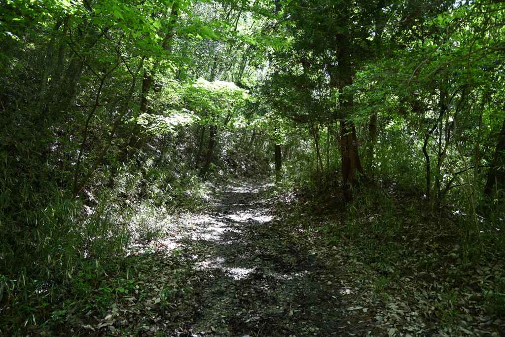 中山道（御嶽宿ー細久手宿）