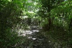中山道（御嶽宿ー細久手宿）