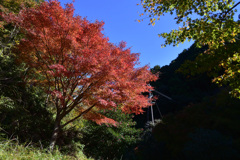 静岡県　宇津谷峠　蔦の細道